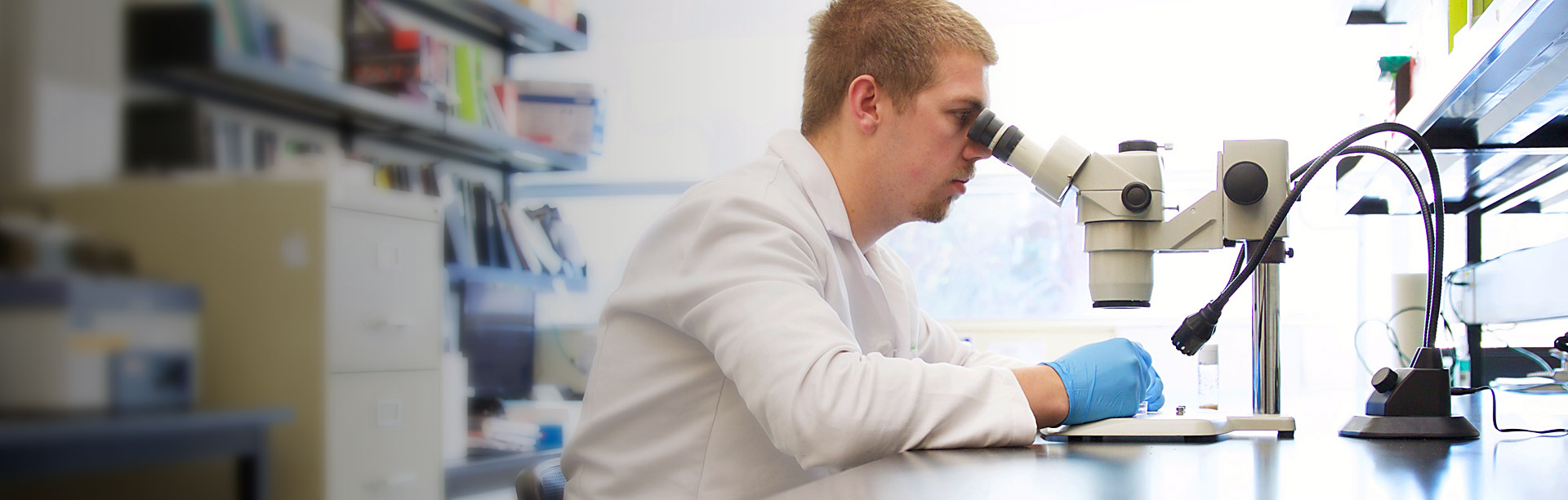 UBCO Okanagan Biology Graduate Student looking through a microscope in Lab