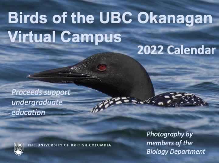 Birds of UBC Okanagan 2022 Calendar