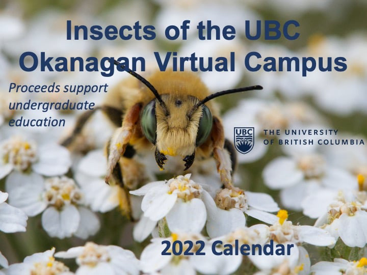 Insects of UBC Okanagan 2022 Calendar
